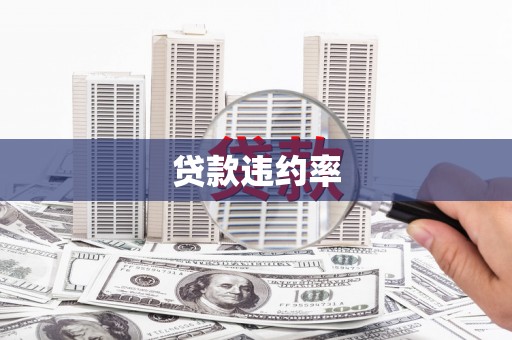 八步贷款违约率