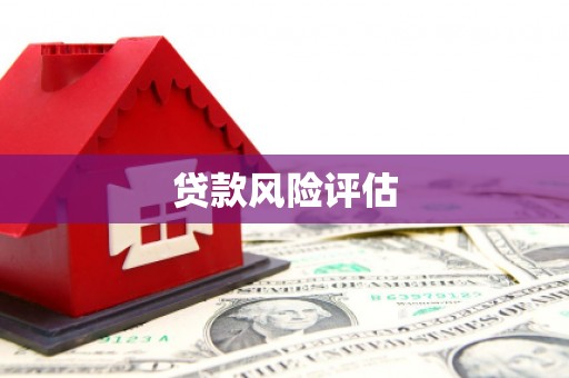 八步贷款风险评估