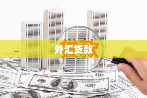 八步外汇贷款