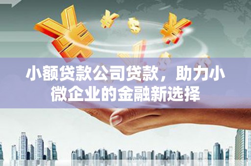 八步小额贷款公司贷款，助力小微企业的金融新选择