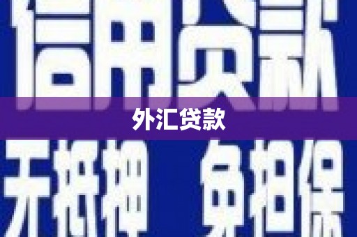 八步外汇贷款
