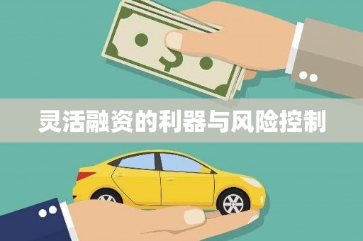 八步灵活融资的利器与风险控制