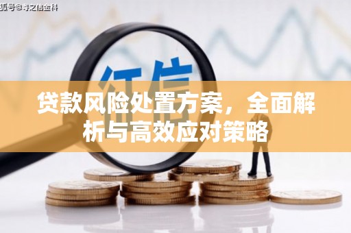 八步贷款风险处置方案，全面解析与高效应对策略