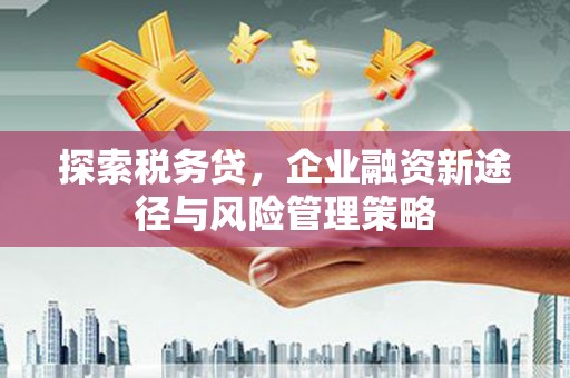 八步探索税务贷，企业融资新途径与风险管理策略