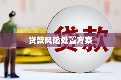 八步贷款风险处置方案