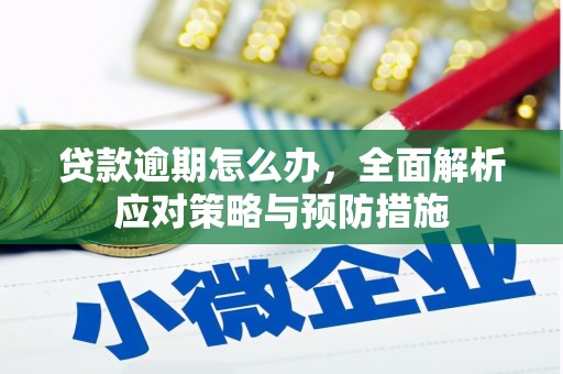 八步贷款逾期怎么办，全面解析应对策略与预防措施