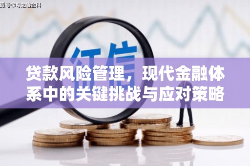 八步贷款风险管理，现代金融体系中的关键挑战与应对策略