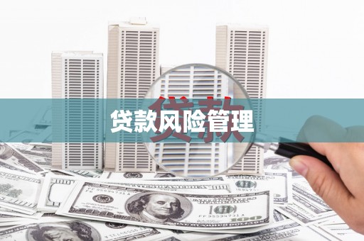 八步贷款风险管理