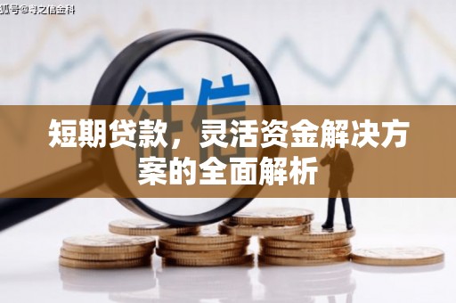 八步短期贷款，灵活资金解决方案的全面解析