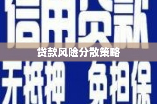 八步贷款风险分散策略
