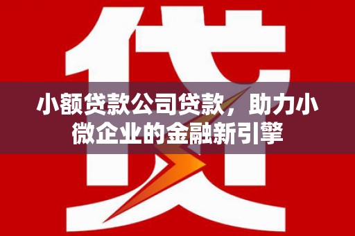 八步小额贷款公司贷款，助力小微企业的金融新引擎