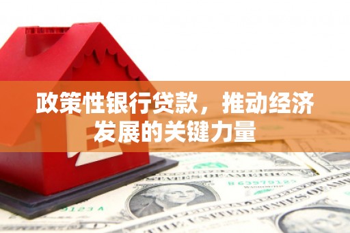 八步政策性银行贷款，推动经济发展的关键力量