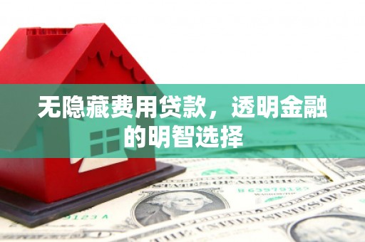 八步无隐藏费用贷款，透明金融的明智选择
