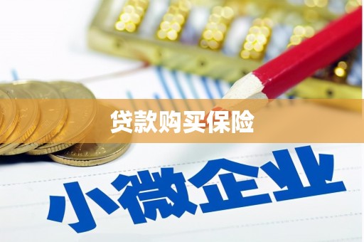 八步贷款购买保险