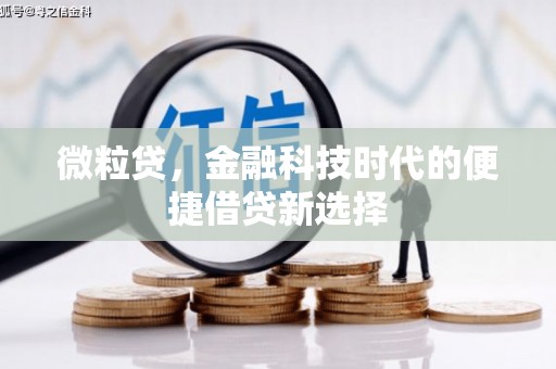 八步微粒贷，金融科技时代的便捷借贷新选择