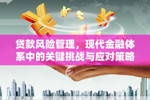 八步贷款风险管理，现代金融体系中的关键挑战与应对策略