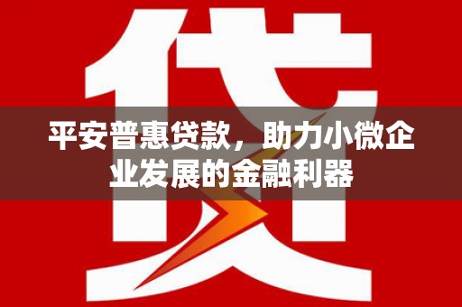 八步平安普惠贷款，助力小微企业发展的金融利器