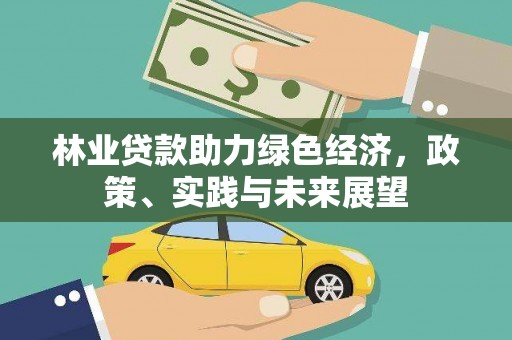 八步林业贷款助力绿色经济，政策、实践与未来展望