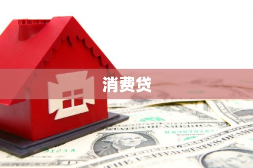 八步消费贷