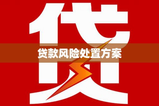 八步贷款风险处置方案
