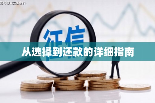 八步从选择到还款的详细指南