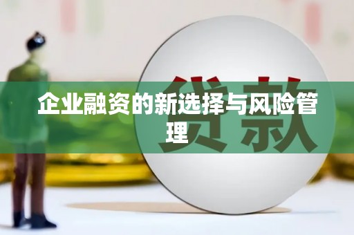 八步企业融资的新选择与风险管理
